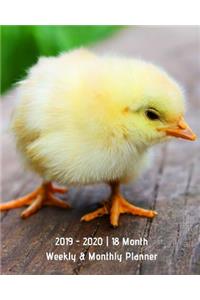 2019 - 2020 18 Month Weekly & Monthly Planner