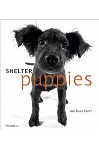 Shelter Puppies