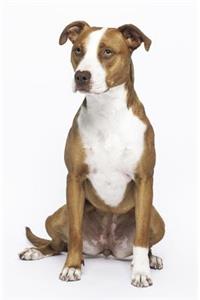 Dog Journal/Notebook
