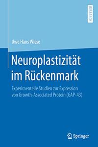 Neuroplastizität Im Rückenmark