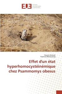 Effet d'un état hyperhomocystéinémique chez Psammomys obesus