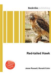 Red-Tailed Hawk