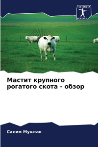 Мастит крупного рогатого скота - обзор