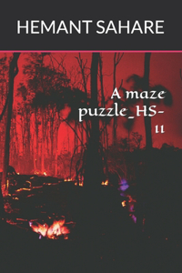 A maze puzzle_HS-11