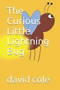 Curious Little Lightning Bug