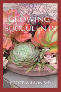 Growing Succulents