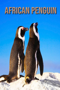 African penguin
