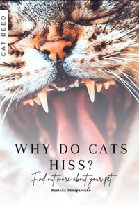 Why Do Cats Hiss?