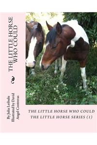 Little Horse Who Could