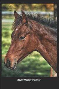 Plan On It 2020 Weekly Calendar Planner - I Love Horses