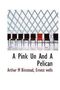 A Pink Un and a Pelican