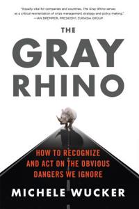 The Gray Rhino