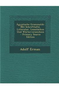 Agyptische Grammatik: Mit Schrifttafel, Litteratur, Lesestucken Und Worterverzeichnis - Primary Source Edition