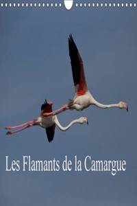 Flamants de la Camargue 2017