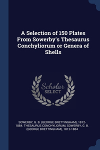 Selection of 150 Plates From Sowerby's Thesaurus Conchyliorum or Genera of Shells