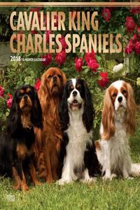 Cavalier King Charles Spaniels 2018 Wall Calendar