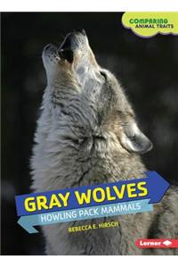 Gray Wolves: Howling Pack Mammals