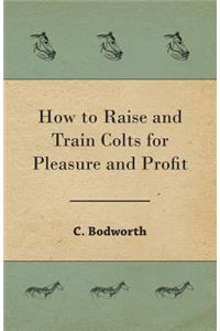 How to Raise and Train Colts for Pleasure and Profit