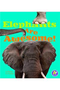Elephants Are Awesome!
