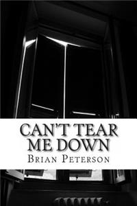 Can't Tear Me Down: An Adaptation on the 1969 NYC Stonewall Riots