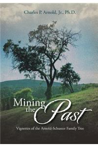 Mining the Past