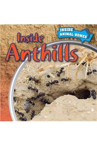 Inside Anthills