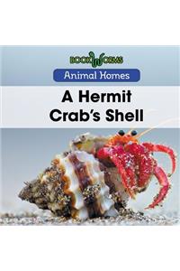 Hermit Crab's Shell