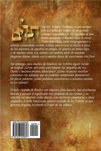 Poder de los Salmos - Libro I - Salmos 1-41