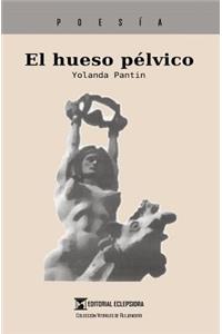 hueso pélvico