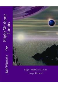 Flight Without Limits (Large): Large Format