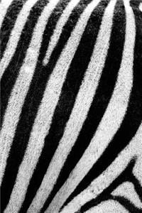 Zebra Print