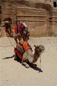 Cool Camel Saddles at a Bedouin (Beduin) Market Journal