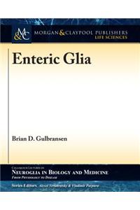 Enteric Glia