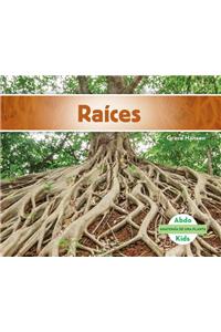 Raíces (Roots) (Spanish Version)