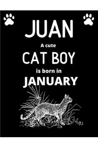 JUAN a cute cat boy is born in January