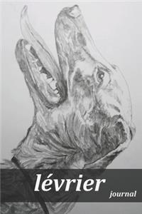 lévrier journal