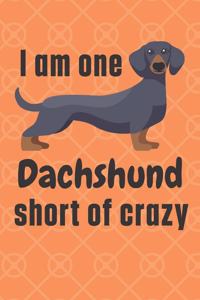 I am one Dachshund short of crazy