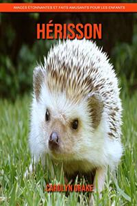 Hérisson