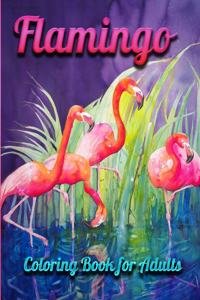 Flamingo Coloring Book for Adults