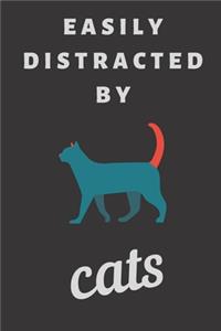 Easily distracted by cats