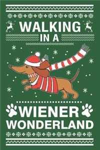 Walking in the Wiener Wonderland