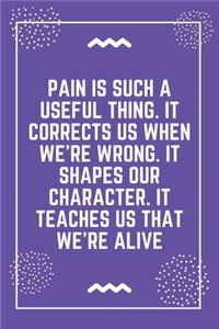 Pain is such a useful thing. It corrects us when we're wrong. It shapes our character. It teaches us that we're alive