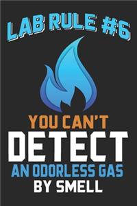 Lab Rule #6