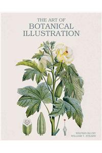 Art of Botanical Illustration