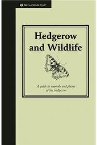 Hedgerow & Wildlife