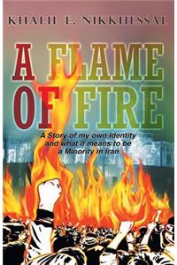 A Flame of Fire: A Story of My Own Identity and What It, Means to Be a Minority in Iran.