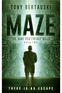 Maze