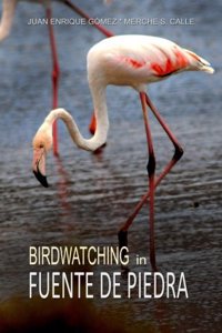 Birdwatching in Fuente de Piedra