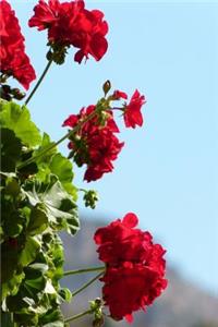 Red Geranium Flowers Journal