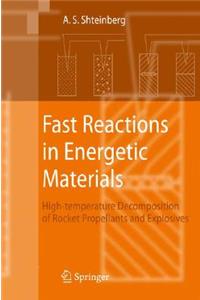 Fast Reactions in Energetic Materials